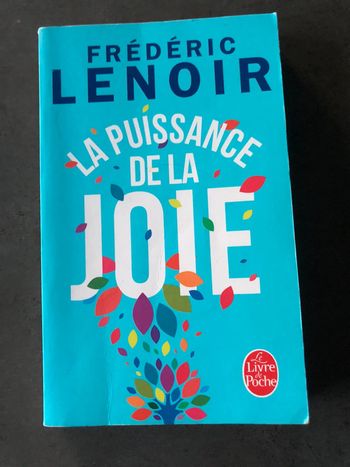 Livre Frederic lenoir