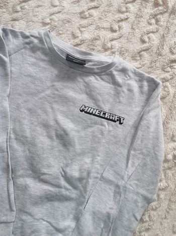 Pull sweat-shirt Minecraft 💚🩶  garçon 14 ans