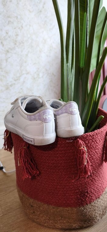 Basket lacoste fille
