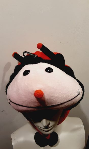 Bonnet animaux pour enfant modèle  coccinelle neuf sans étiquette 🏷