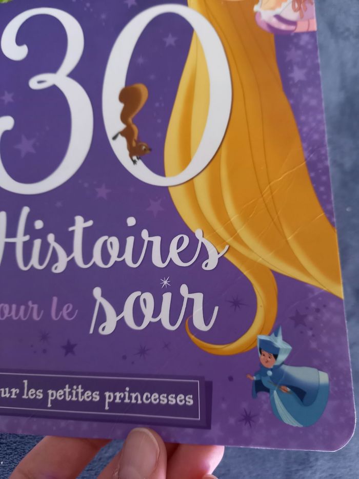 Livre princesses 30 histoires pour le soir - photo numéro 2