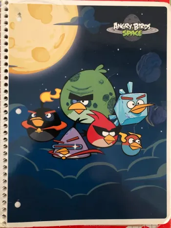 Cahier Angry Birds
