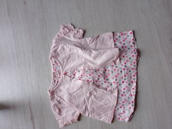 Tee shirt manches courtes