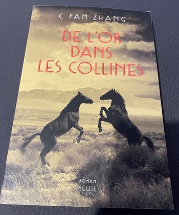 Livre de l or dans les collines de c pam Zhang neuf