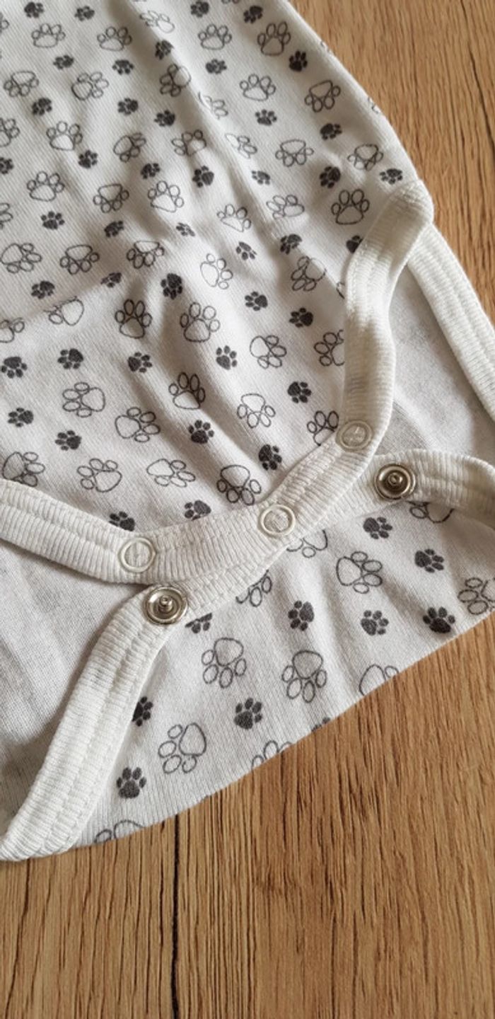 Lot de 3 bodys MC bébé fille - photo numéro 3