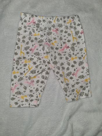 Legging court