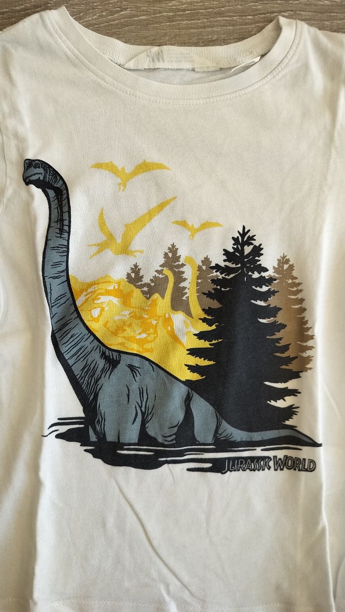 Tee shirt dinosaures - photo numéro 2