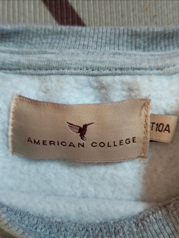 Sweatshirt American college garçon - photo numéro 6