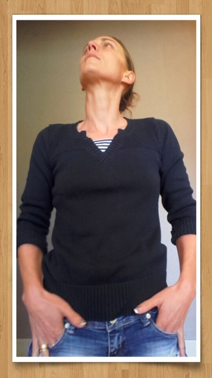 Petit pull marine femme taille 36 - 100% coton