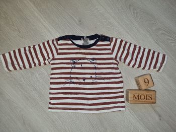 Tee shirt chat rayé