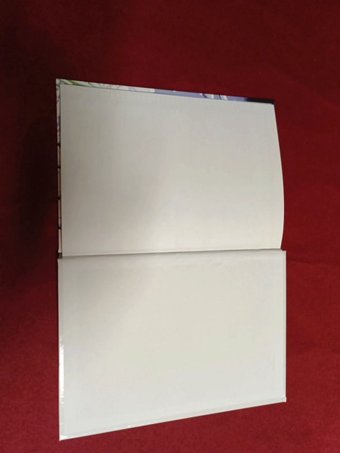 Marsupilami Magie blanche " Dupuis " mini bd " - photo numéro 12