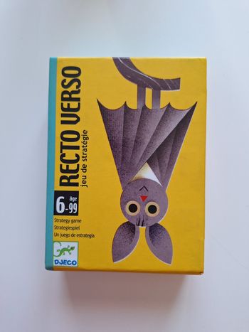 Jeu Recto Verso Djeco