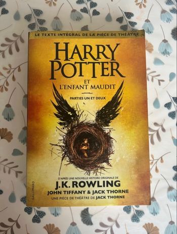 Harry Potter et l’enfant maudit 