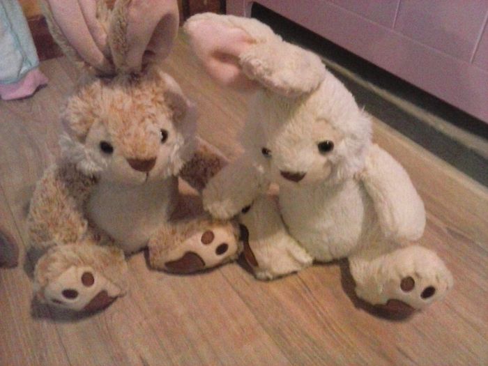 Lapins de paques