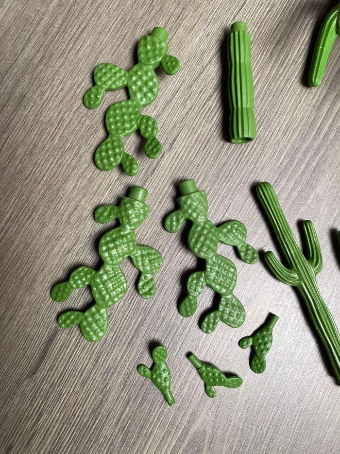 Lot de cactus - photo numéro 2