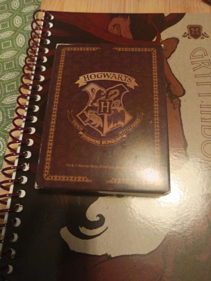 Lot de carnet Harry Potter - photo numéro 15