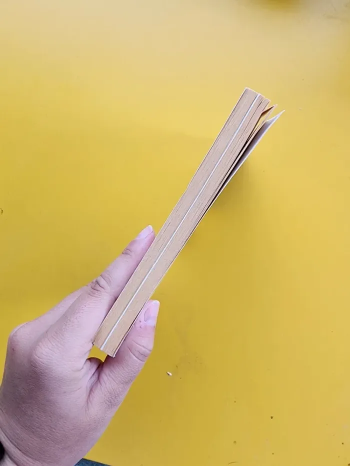 Livre de poche "sauvez Willy" de Jordan Horowitz - édition illustrée - photo numéro 4
