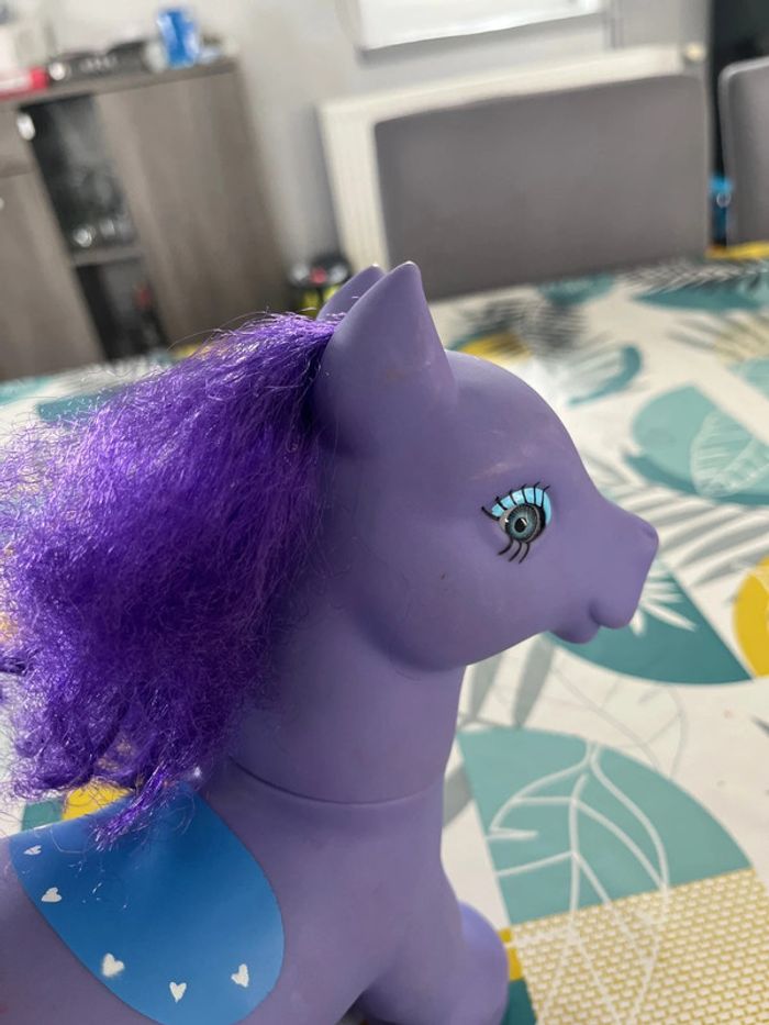 Grand poney - photo numéro 2