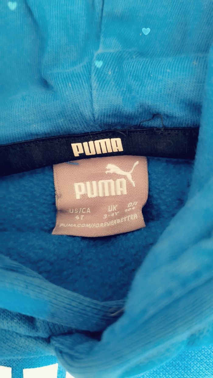 Pull puma - photo numéro 2