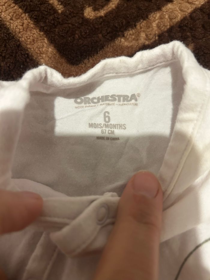 Grenouillère - photo numéro 6