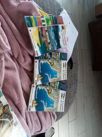 3 guides gallimard