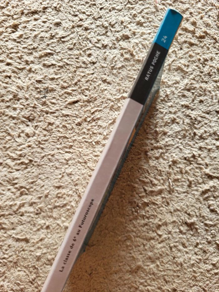 Livre enfant La classe de 6e au Futuroscope d'Hélène Kérillis - Collection Ratus poche - photo numéro 4