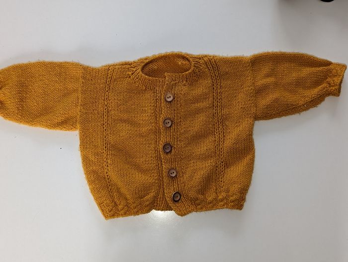 Gilet en laine tricoté main 6 mois