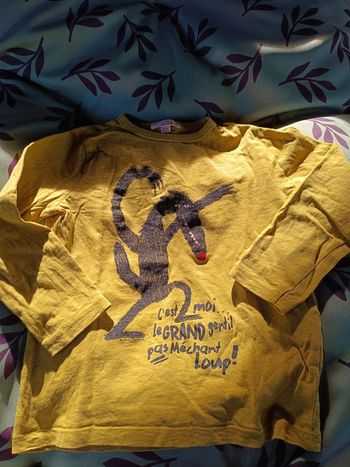 T-shirt manches longues 4 ans loup 🐺