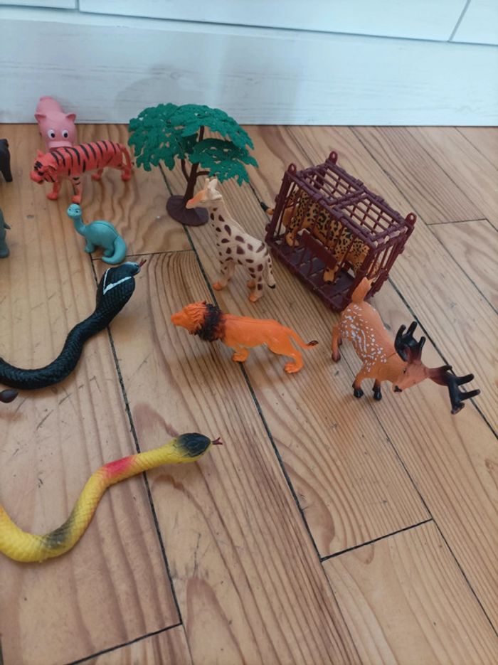 Lot animaux - photo numéro 4