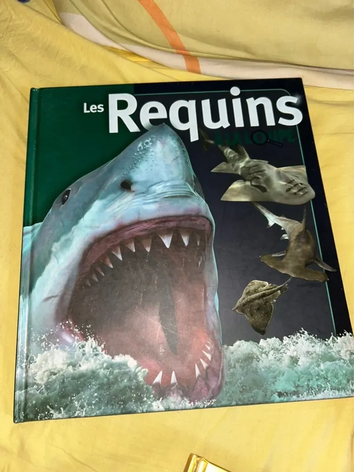 Lot livres À la loupe - photo numéro 2