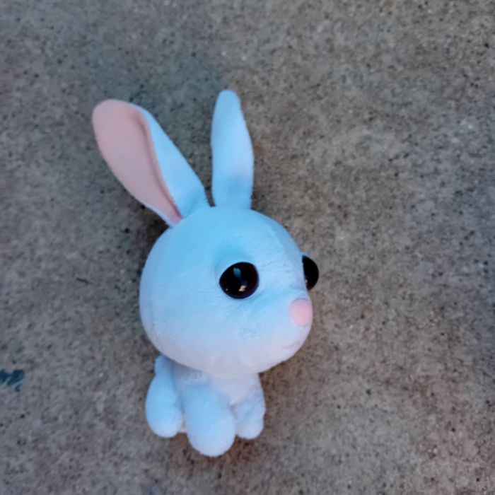 Peluches - photo numéro 3
