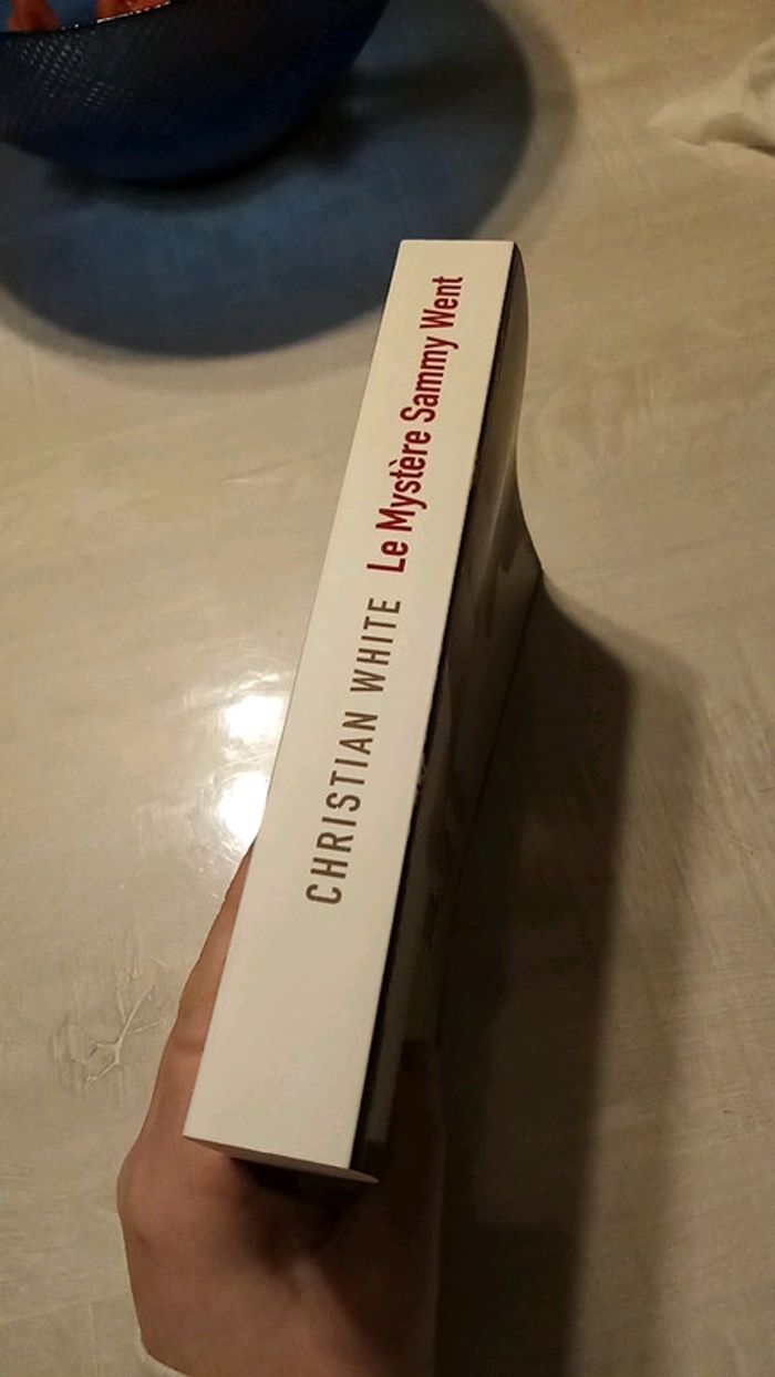 Le mystère Sammy Went - photo numéro 2