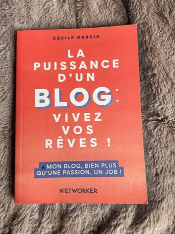 Livre la puissance d’un blog