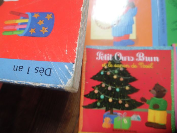 petit ours brun - photo numéro 3