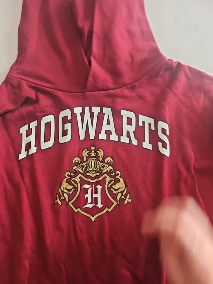 Hoodie Harry Potter x H&M - photo numéro 2