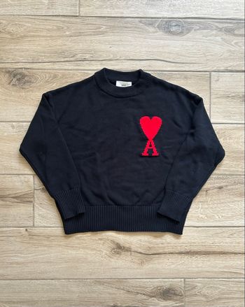 Pull ami Paris 