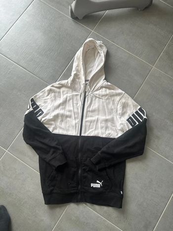 Gilet puma