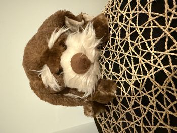 doudou chiot marron bukowski