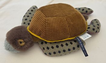 Doudou peluche Tortue 36 cm - Tout autour du monde - Moulin Roty