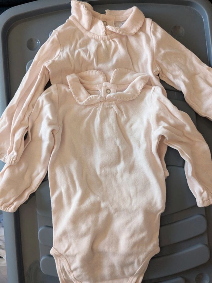 Lot 2 bodies