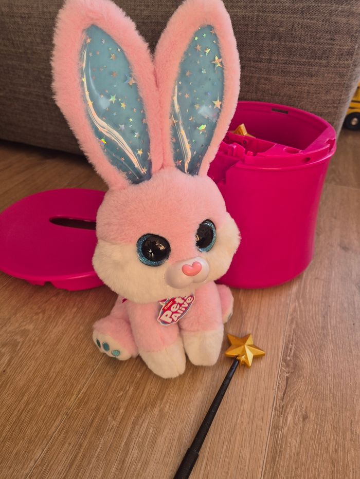 Lapin pets alive - photo numéro 4