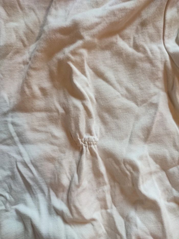 Body sergent major - photo numéro 4