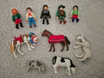 Lot de personnages et animaux playmobil
