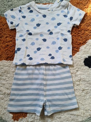 Ensemble - 6mois