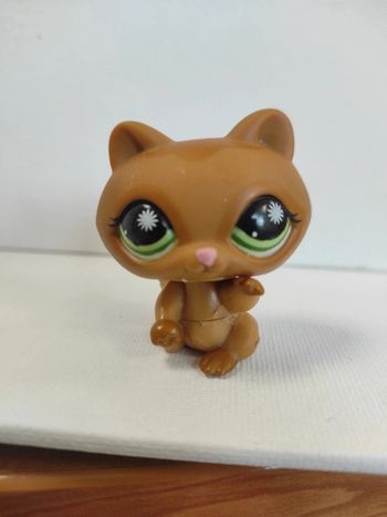 My littlest petshop raton laveur 953