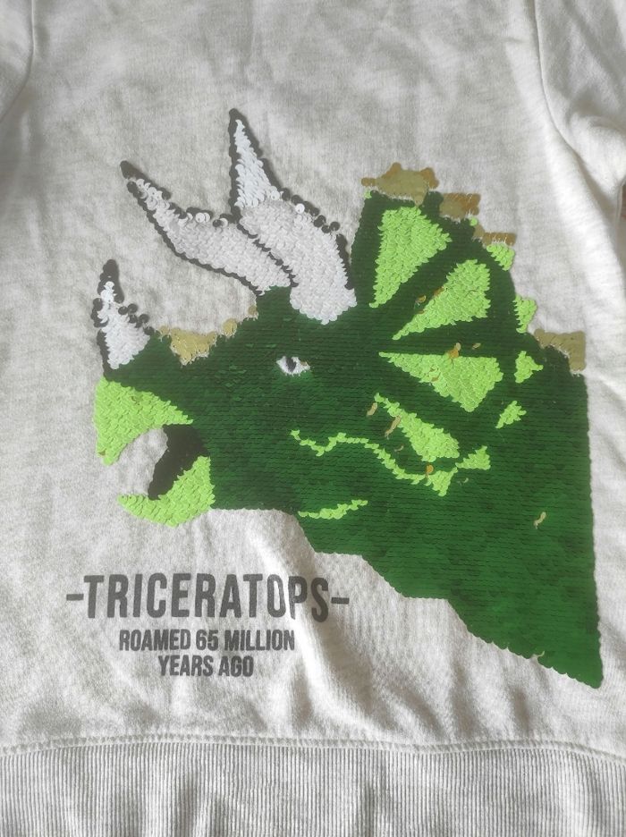 Sweat dinausore garçon à sequins magiques 10 ans h&m - photo numéro 3