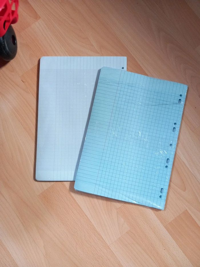 Feuilles simples grand format bleu - photo numéro 5