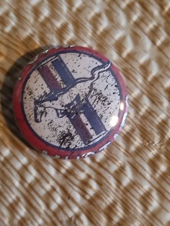 Badge motif mustang neuf
