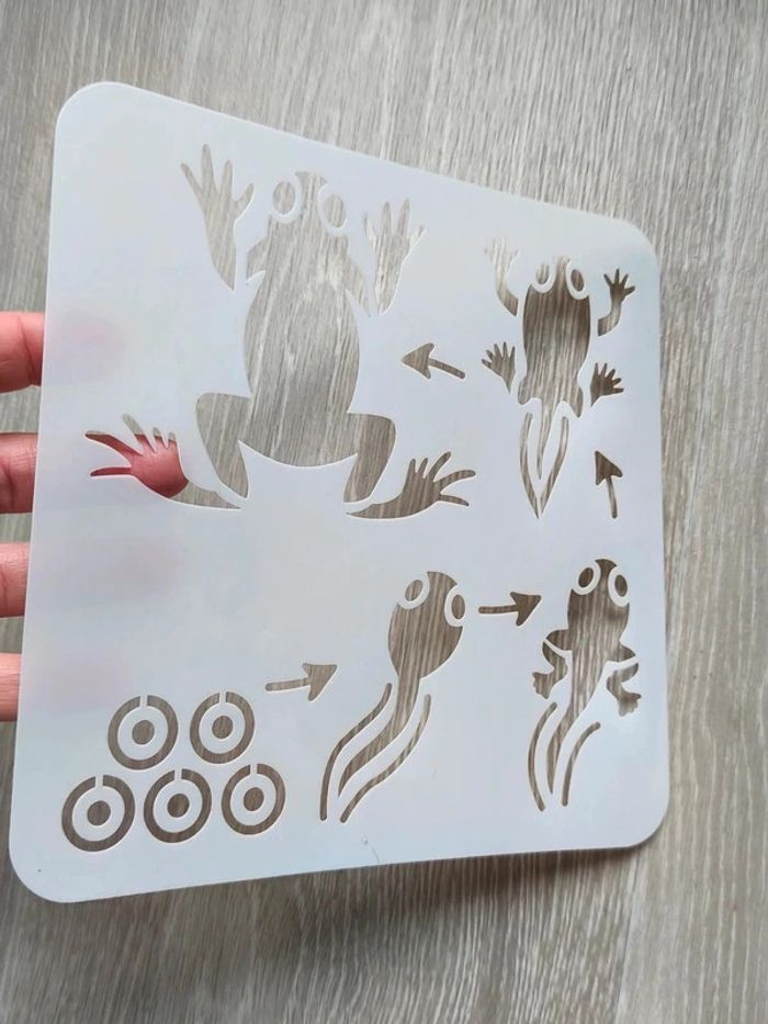 Pochoir du cycle de vie de la grenouille - photo numéro 3