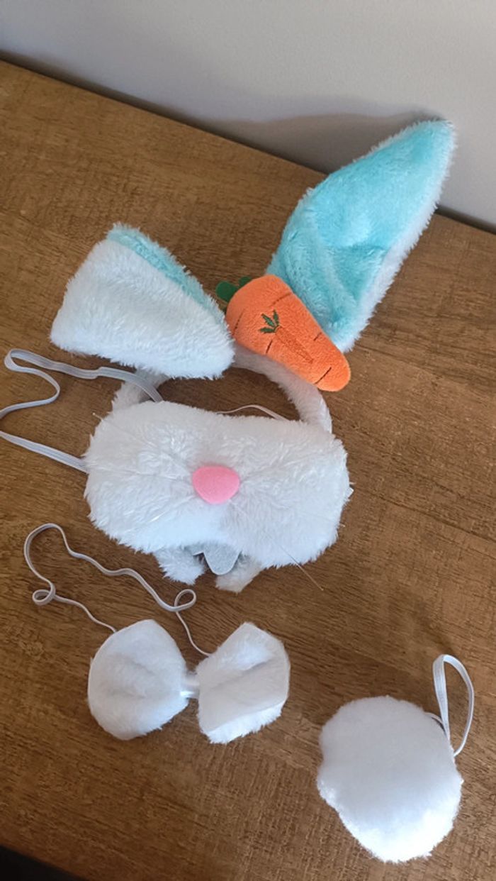 Déguisement lapin Pâques - photo numéro 2